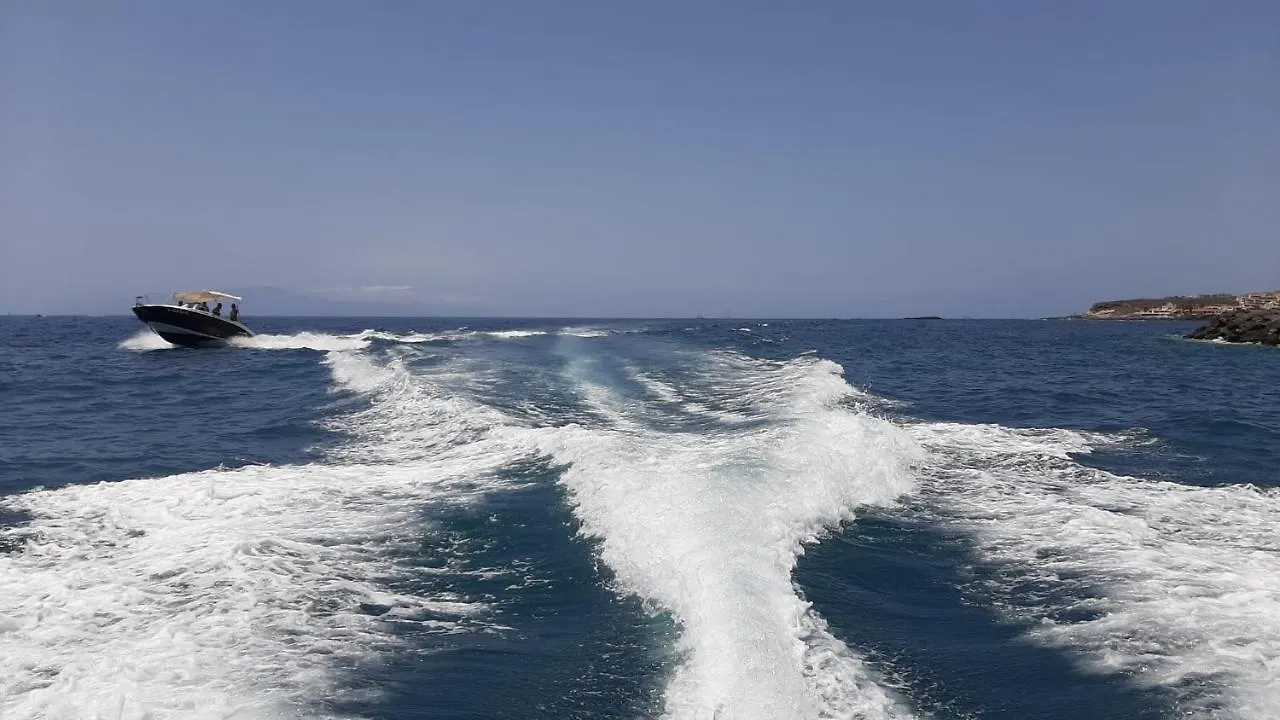 Holiday Home Close To Golden Mile Playa de las Americas  Apartment Playa de las Americas (Tenerife)